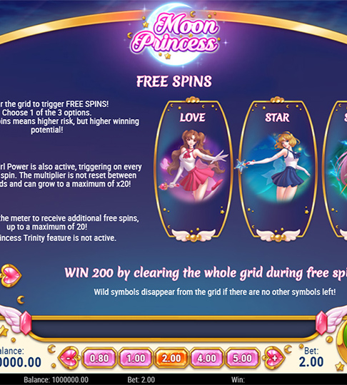 Free Spins rules - Moon Princess