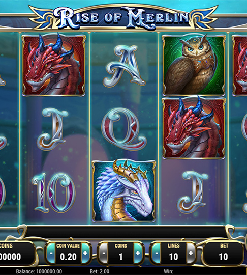 Game field screen - Rise of Merlin